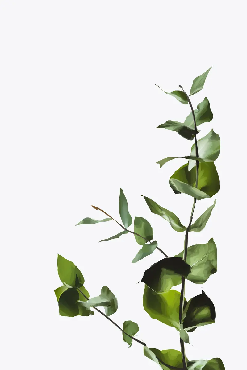 植物